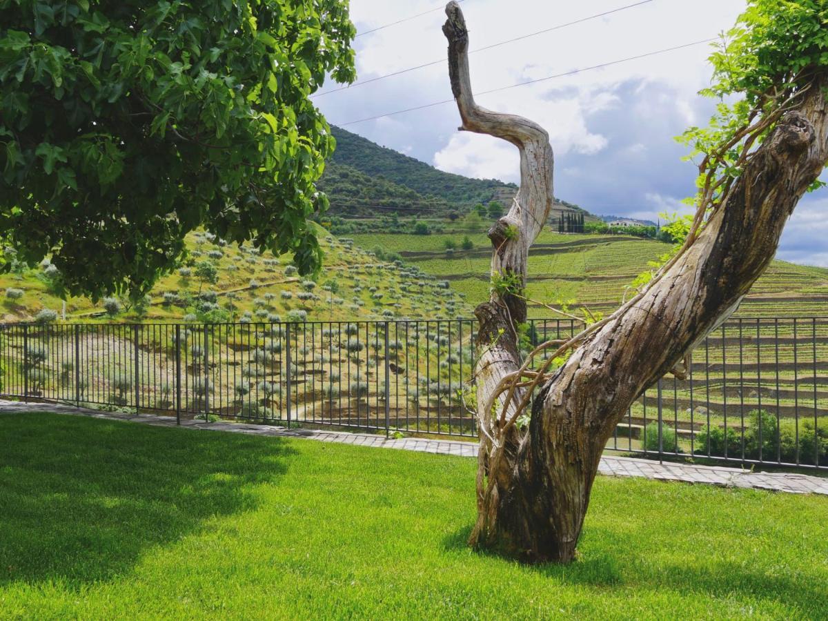 Quinta Do Tedo Bed & Breakfast Folgosa  Luaran gambar
