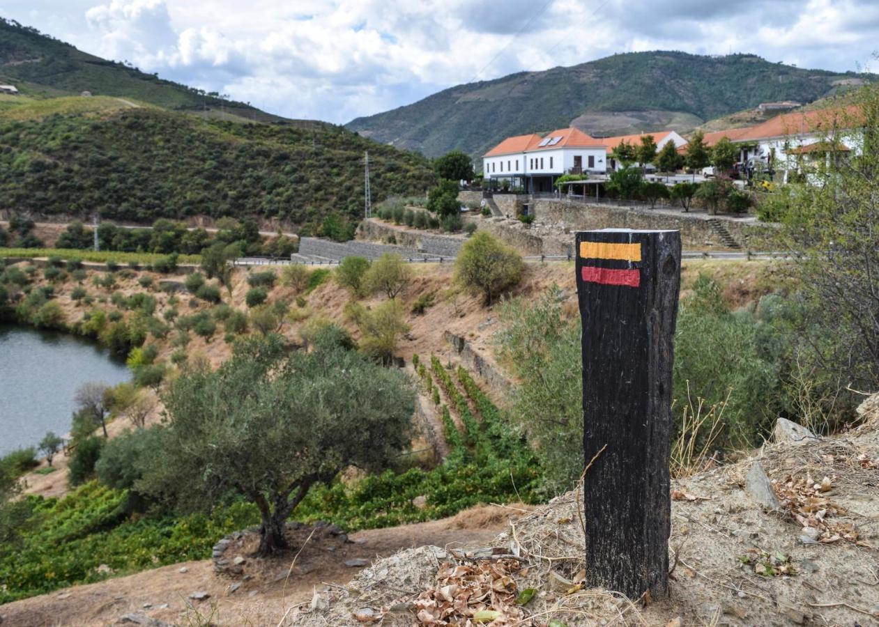 Quinta Do Tedo Bed & Breakfast Folgosa  Luaran gambar