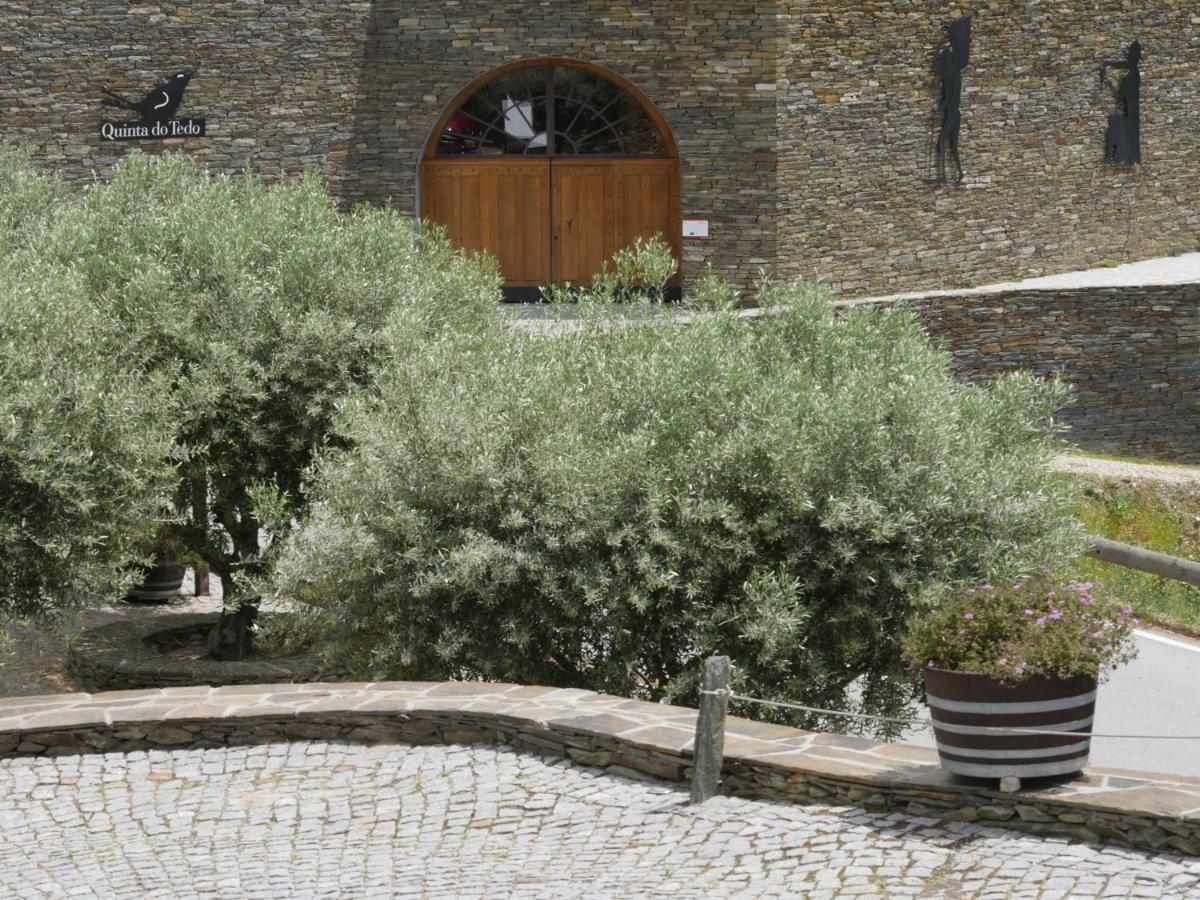 Quinta Do Tedo Bed & Breakfast Folgosa  Luaran gambar