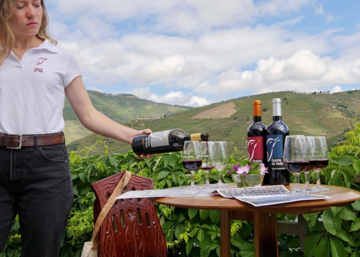 Quinta Do Tedo Bed & Breakfast Folgosa  Luaran gambar