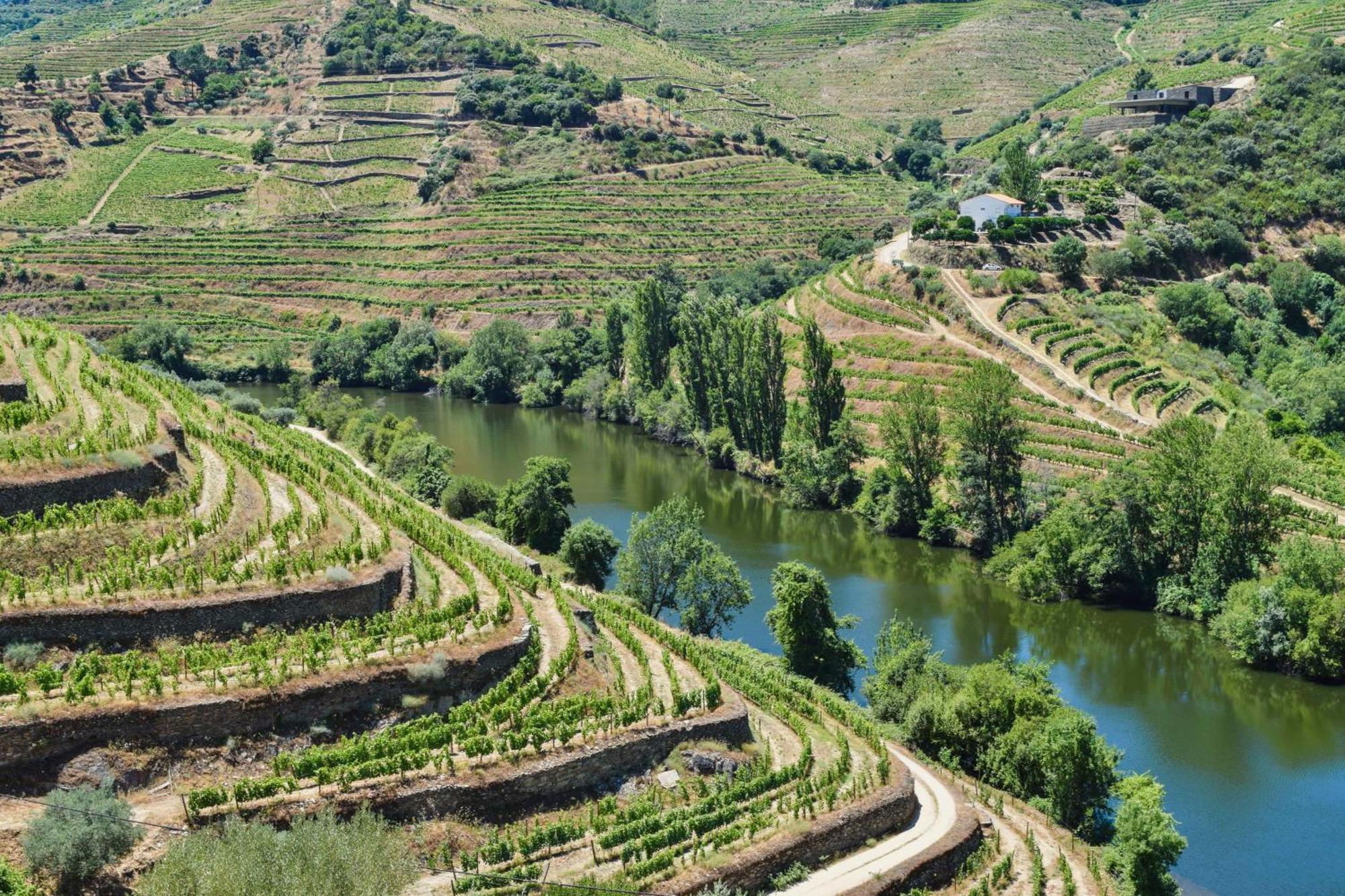 Quinta Do Tedo Bed & Breakfast Folgosa  Luaran gambar