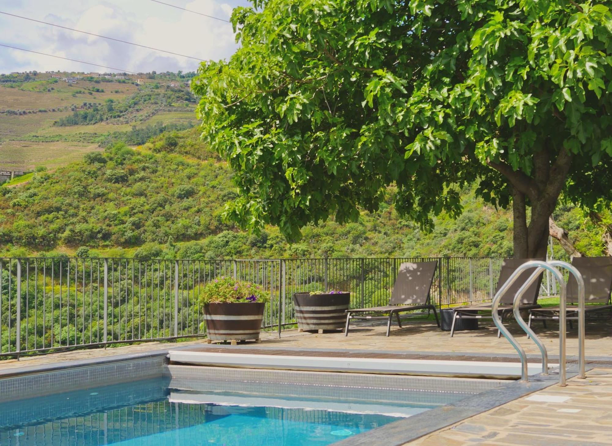Quinta Do Tedo Bed & Breakfast Folgosa  Luaran gambar