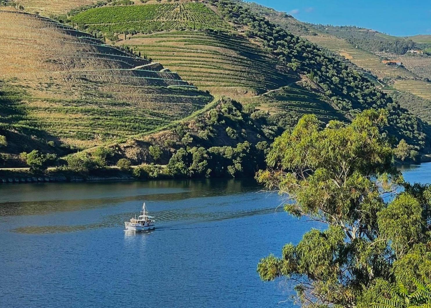 Quinta Do Tedo Bed & Breakfast Folgosa  Luaran gambar