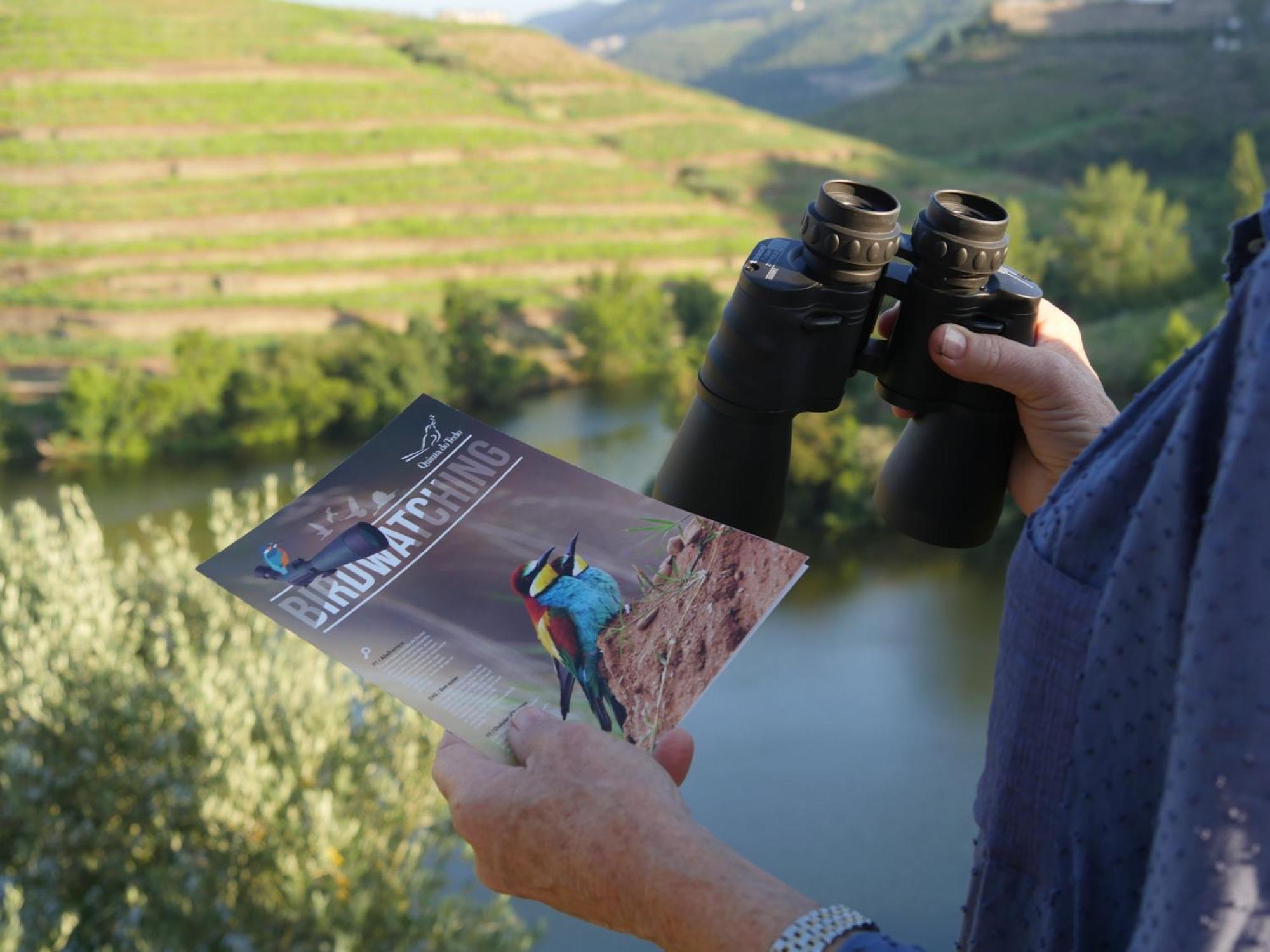 Quinta Do Tedo Bed & Breakfast Folgosa  Luaran gambar