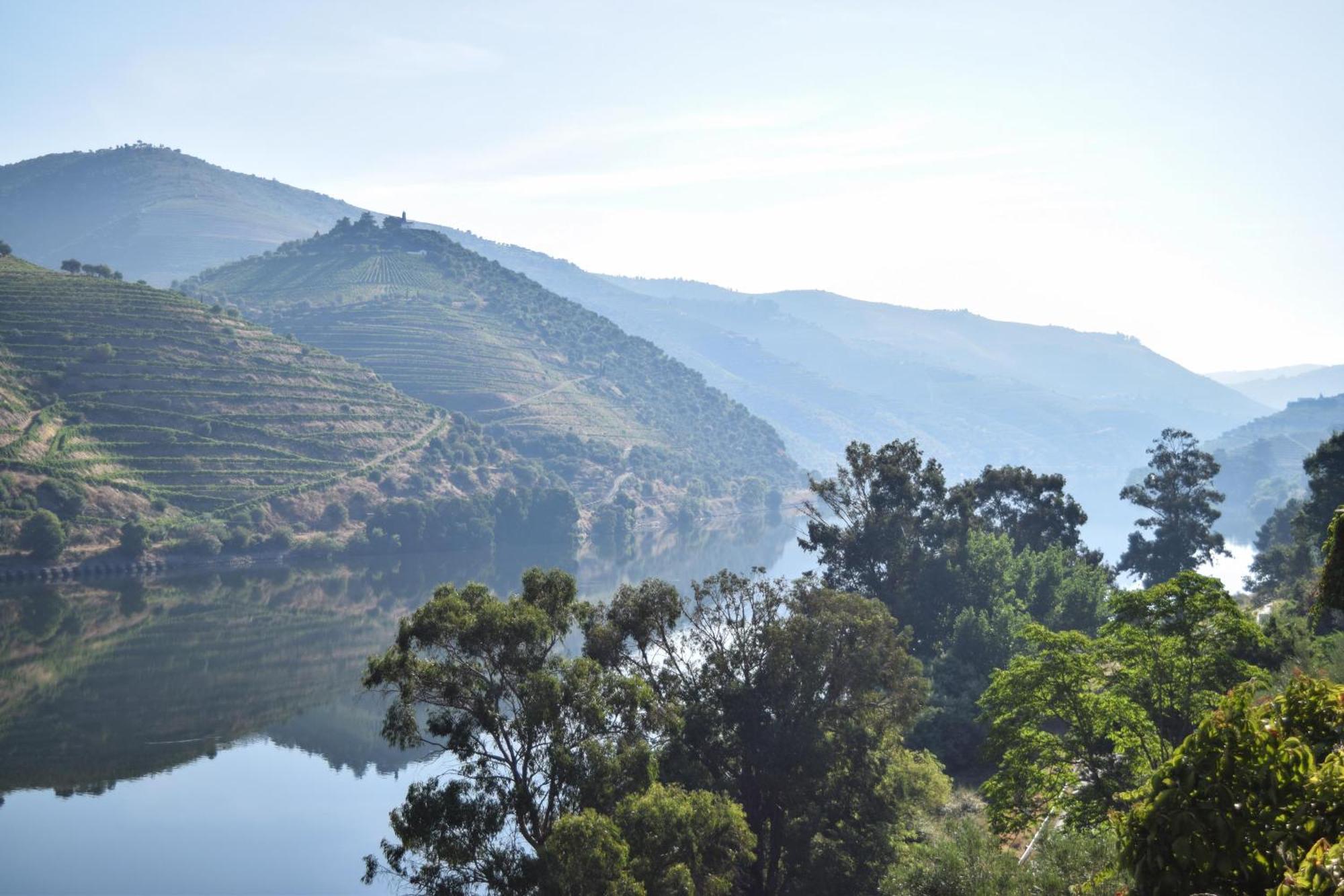 Quinta Do Tedo Bed & Breakfast Folgosa  Luaran gambar