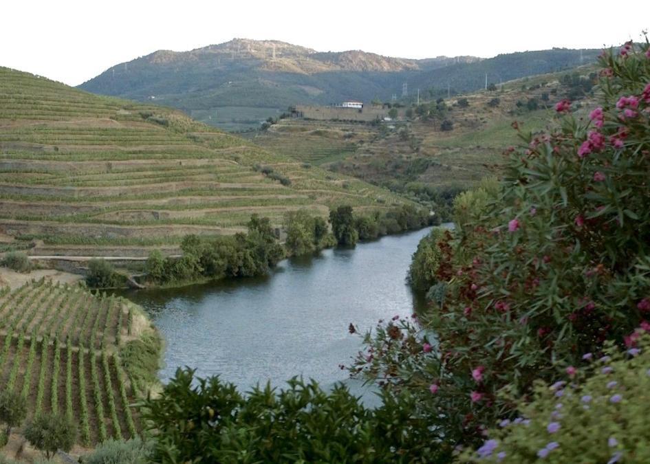 Quinta Do Tedo Bed & Breakfast Folgosa  Luaran gambar